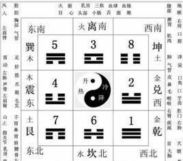 天德贵人与劫财同宫
,八字命盘分析图1