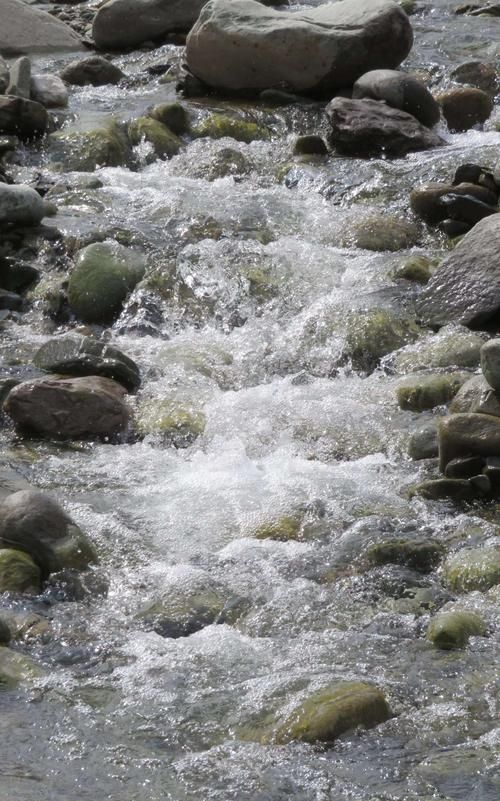 梦见大沟里水满满的
,梦见沟里水满了都跑到道路上了图3