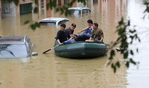 梦见开车遇到洪水无法前行
,梦见自己开车道路坎坷图3