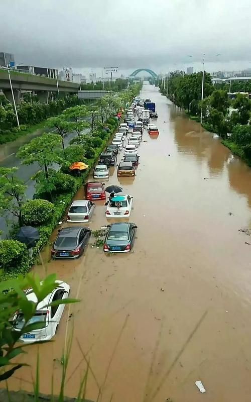 梦到家门口大水成河了
,梦见水流进院子里是什么意思图1