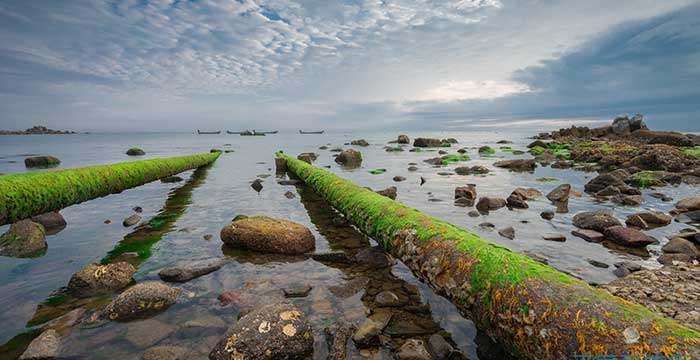 梦见在浑浊的河里洗脚
,梦见自己在清澈的水里洗脚图1