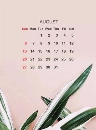 8月生的多少岁
,今年8月几号出生的宝宝好图1