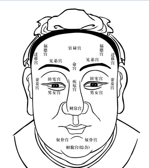 面部扫描算命
,ai算命免费图7