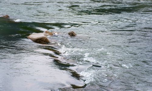 梦见河里没水是什么意思
,做梦梦见一条大河河里都是水是什么意思图1