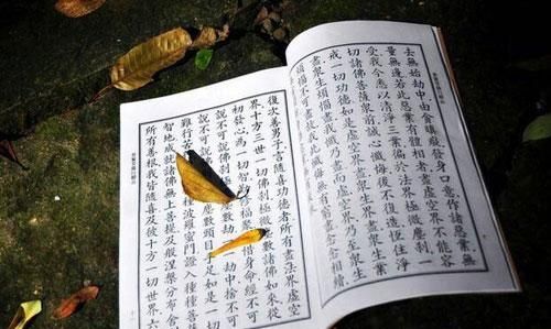 免费八字测生死
,生辰八字测生死准吗图3