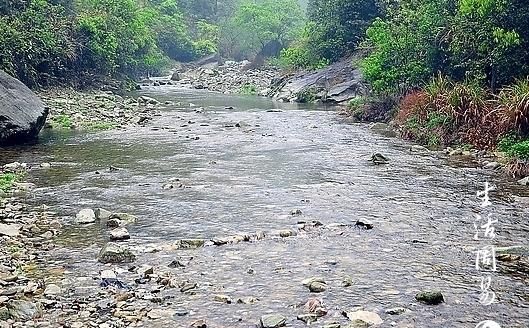 梦到一条大河没有水
,梦见一条河里都是蛇图2