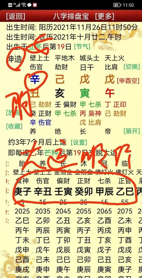 旧版八字排盘宝
,有什么好用的八字排盘软件图4