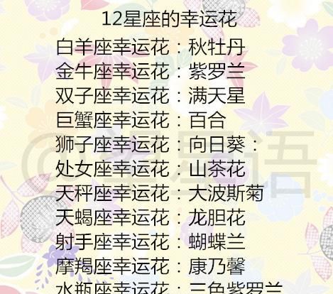 十二星座的唯美名字
,十二星座魔法手杖怎么折图1