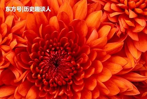 6月28日出生的人命运
,我爱人6月28日属兔他今年运势怎么样了图1