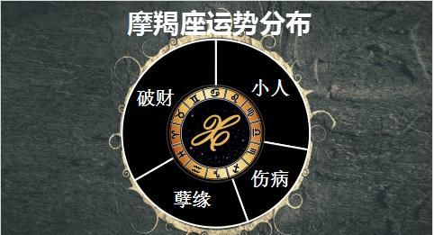 摩羯座最佳合作伙伴
,十二星座中谁是老大?图5