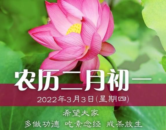 3月23日未时
,2月23日出生的人属什么图3