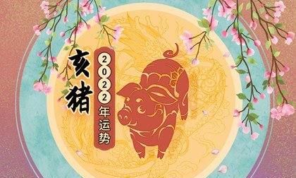 属猪的桃花劫是谁
,十二生肖桃花劫年龄表2021图1