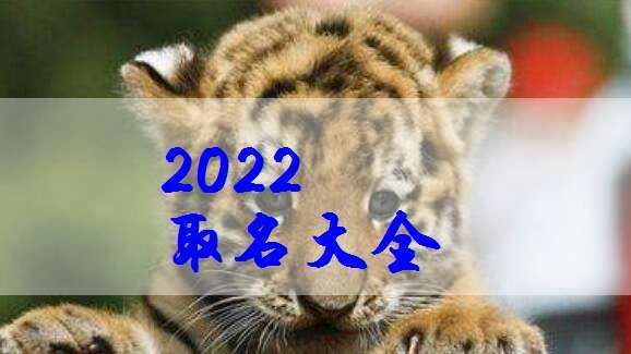 属虎二月出生男孩名字
,2022属虎男孩最吉利的名字虎年吕姓宝宝取名字图1