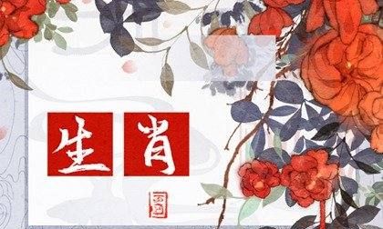 最顺利的4大属相
,什么属相最旺狗的属相图1