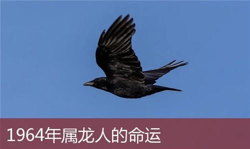 女十一月十一日寅时
,农历3月3日是什么星座图1