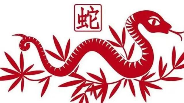 不适合跳槽生肖是哪些
,属兔今年适合跳槽吗图1