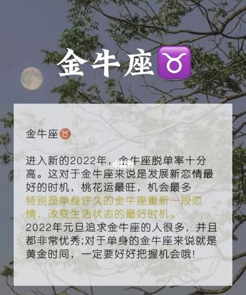 金牛座桃花运势
,金牛座在2022年下半年的爱情运图2