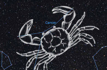 7月21日巨蟹座的尾
,我是农历7月2日生的 怎没算星座 我感觉好像是巨蟹座图2