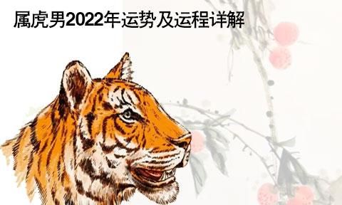 2月20日生肖运程
,生肖羊下周运势查询图1