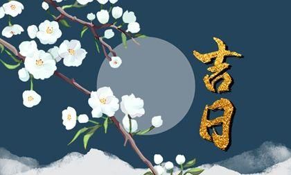 2月4日7是什么命
,2月14日情人节领证好吗图2