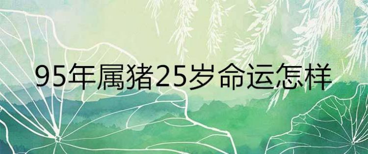 95年属猪女27岁命运
,95年属猪27岁命运属猪是什么命 出生人的命运图4