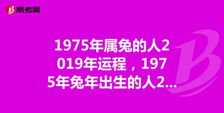 1975年属兔人今日运势查询
,63年属兔女人一生运程图3