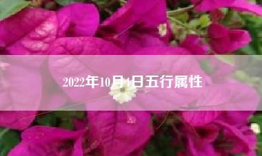 到49数字五行表
,2022金木水火土49码数字排到表图么么生肖属相王行图3