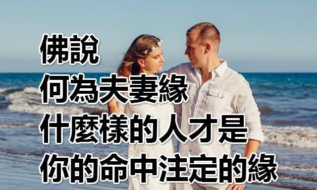 佛说婚外情是命中注定
,佛说夫妻缘分怎么修来的视频图1