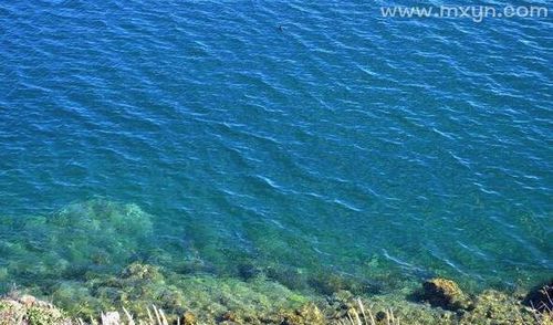 女人梦见湖水是什么预兆
,梦见湖水什么意思图1