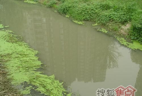 梦见在浑浊的沟里洗手
,梦见水很浑浊图2