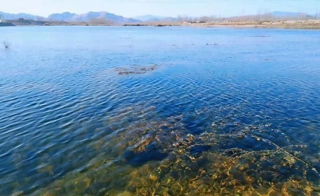 女人梦见河水清澈透明
,女人梦见河水很大很清有很多鱼图3