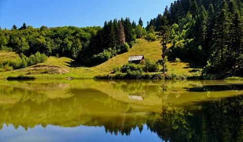 梦见沟里水很大在流
,梦见山沟里水很大图2