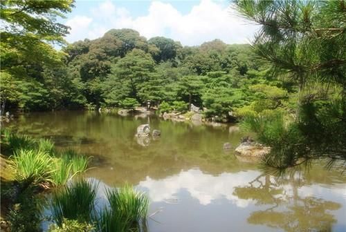 梦见沟里水很大在流
,梦见山沟里水很大图4