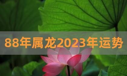 属龙感情运势
,属龙人运势运程2022图1