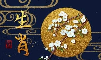 兔年桃花最旺的生肖
,属狗人有桃花之喜吗图3