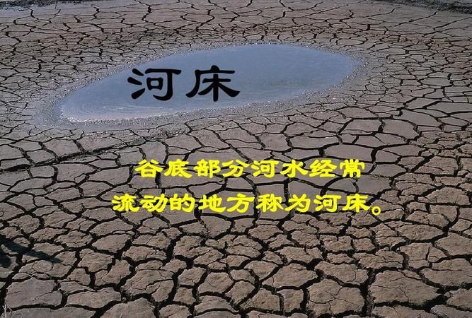 梦见河水干枯的河床
,梦见河水干涸河床底有一千年大龟图3