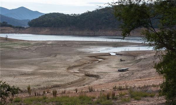 梦见河水干枯的河床
,梦见河水干涸河床底有一千年大龟图4