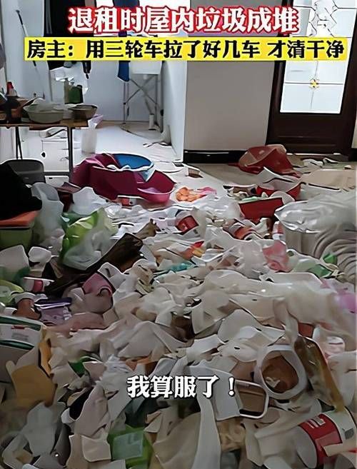 女人梦见厕所很脏无处下脚
,梦见厕所很脏没地方下脚图3