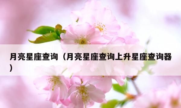 4月7日上升星座
,女同性恋图1