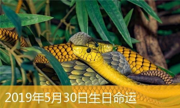 5月30日出生的人,4月30日生日书图4