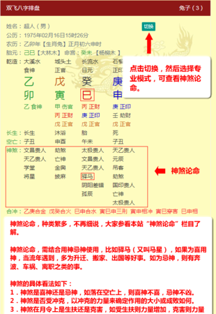 最全神煞排盘免费,八字排盘图文解析教学图4