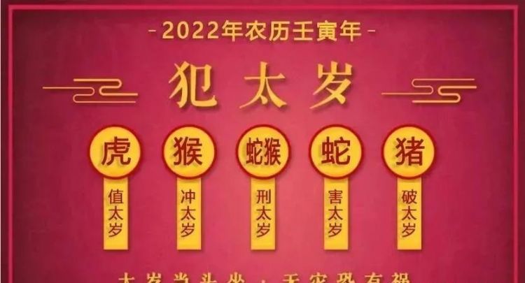 戊午遇2022壬寅年看事业,戊辰日柱在2022年运势图1