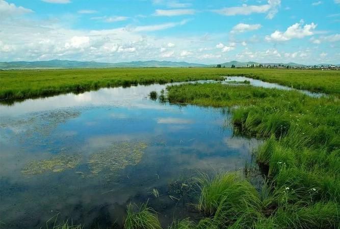 梦见别人睡湿地上,梦见死去的母亲睡在地上图2