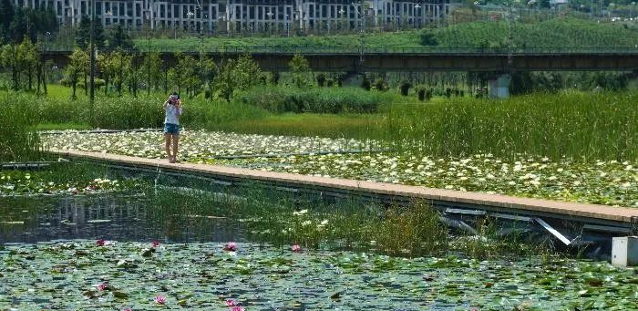 梦见别人睡湿地上,梦见死去的母亲睡在地上图4