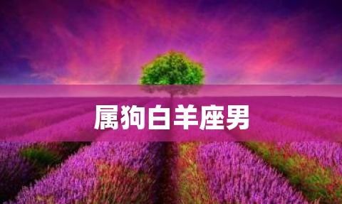 70年白羊座属狗男运势,属狗的运势怎么样2022图2