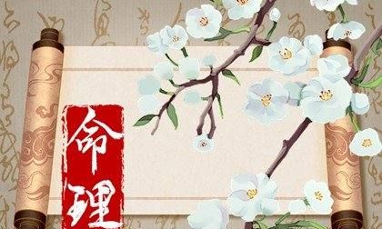 女命身强的特点,身强的人有什么特点图5