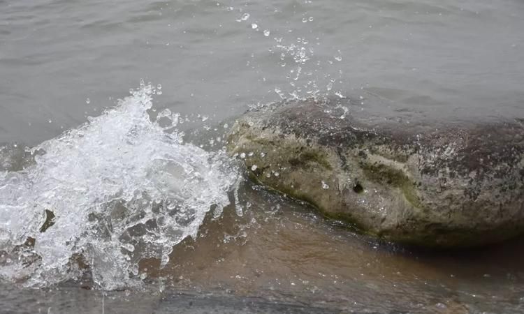 梦见沟里水很大很浑浊,梦见水坑里的水很浑浊有很多鱼图1