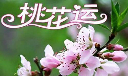 八字正缘桃花查询免费,八字免费查桃花有几朵准吗图3