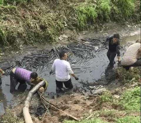 梦见水沟里的水没有了,梦见沟的水全干涸了啥意思啊图2