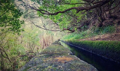 梦见两条水沟流水,梦见水沟流水很清很大图1